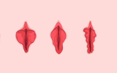 The Different Types of Vulvas