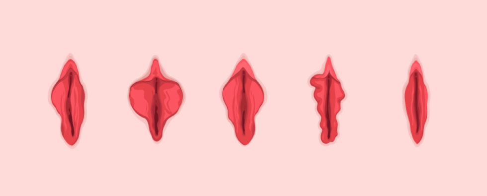 Different Types Of Vagina Pics