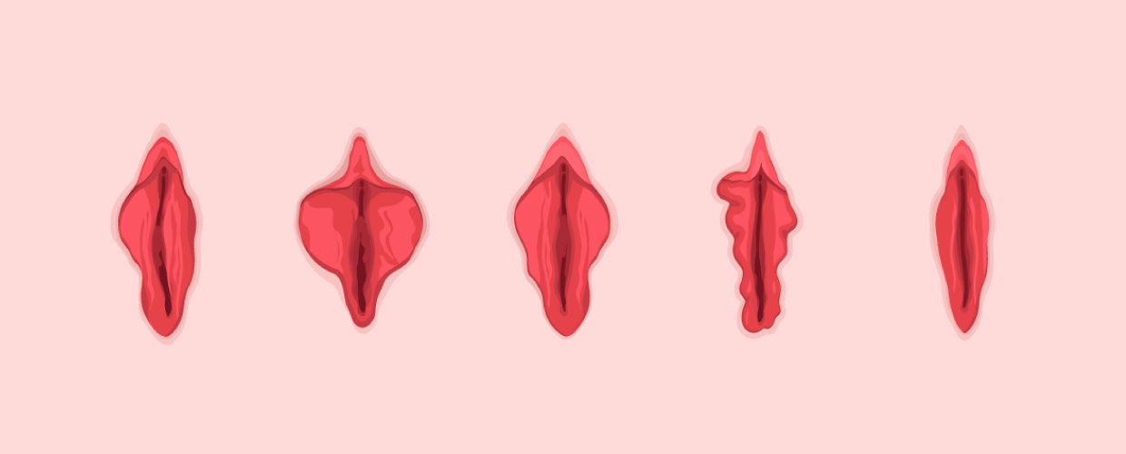 Different Size Vaginas